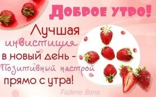 dobroe-utro-luchshaya-investiciya-v-novyj-den-pozitivnyj-nastroj-pryamo-s-utra.webp
