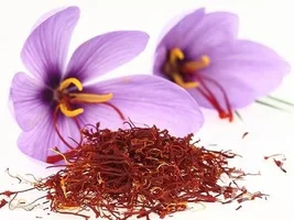 1619262058450.png 1619262058450.png