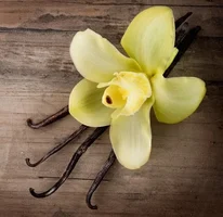 1619262106701.png 1619262106701.png