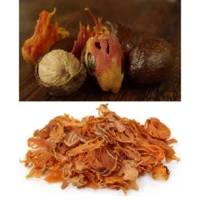 1619262175922.png 1619262175922.png