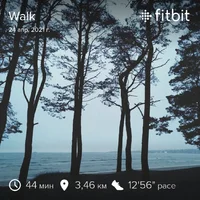 fitbitshare_87705139.webp fitbitshare_87705139.webp