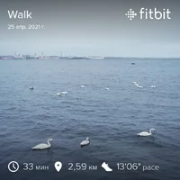 fitbitshare_177929500.webp