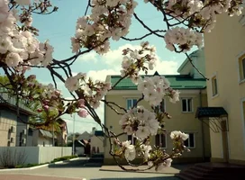 FB_IMG_1619420752827.webp FB_IMG_1619420752827.webp