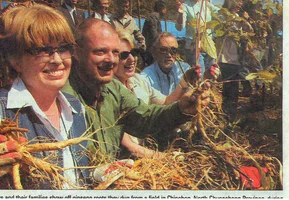 1619514464149.webp 1619514464149.webp