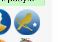 Screenshot_20210428-214647_Chrome.webp Screenshot_20210428-214647_Chrome.webp