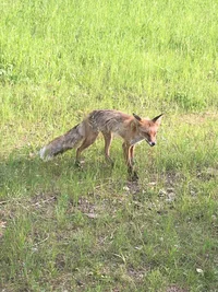 FAB5C39A-47F2-411E-BC02-E2F45EF391DD.webp FAB5C39A-47F2-411E-BC02-E2F45EF391DD.webp