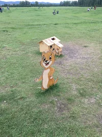 D2570030-52B2-4833-B009-50EBFD1EDD8B.webp D2570030-52B2-4833-B009-50EBFD1EDD8B.webp