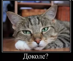 Screenshot_20210505-174255_Yandex.webp Screenshot_20210505-174255_Yandex.webp