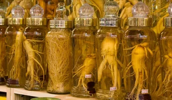 1621186831660.png 1621186831660.png