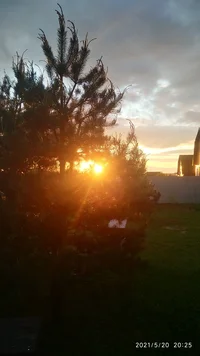 IMG_20210520_202523.webp IMG_20210520_202523.webp