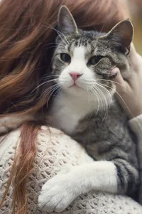 59c3a12f9fd4d98be6a850d30b4d2222.webp 59c3a12f9fd4d98be6a850d30b4d2222.webp