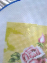 Фото1750.jpg Фото1750.jpg