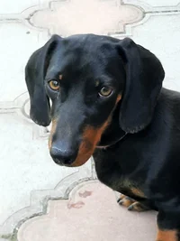 20210529_121811.webp 20210529_121811.webp