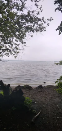 IMG_20210529_084737.jpg IMG_20210529_084737.jpg