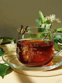 a764d011560f092d0858561d73d35eac.gif a764d011560f092d0858561d73d35eac.gif