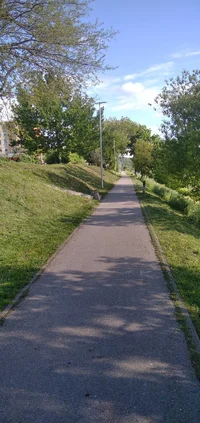 IMG_20210529_182635.webp IMG_20210529_182635.webp