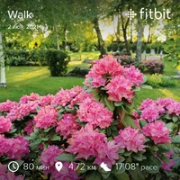 fitbitshare_1308001175.webp