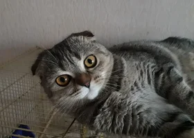 20210417_183352.webp 20210417_183352.webp