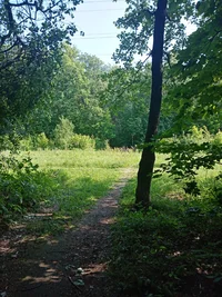 IMG_20210605_092015.webp IMG_20210605_092015.webp