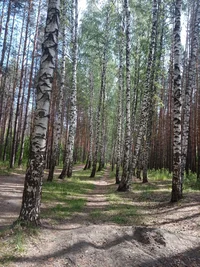 IMG_20210605_101624.webp IMG_20210605_101624.webp