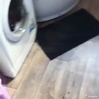 ace57af7-8ab4-47e1-af2b-5356f74468df.gif ace57af7-8ab4-47e1-af2b-5356f74468df.gif