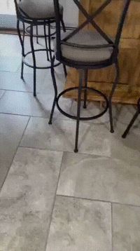 1620888072150983686.gif 1620888072150983686.gif