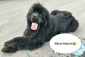 IMG_20210609_235848.webp IMG_20210609_235848.webp