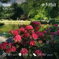 fitbitshare_2001943616.webp