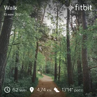 fitbitshare_91517103.webp