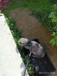 IMG_20210613_154537.webp IMG_20210613_154537.webp