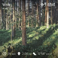fitbitshare_198059173.webp
