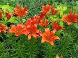 IMG20210611160114.webp IMG20210611160114.webp