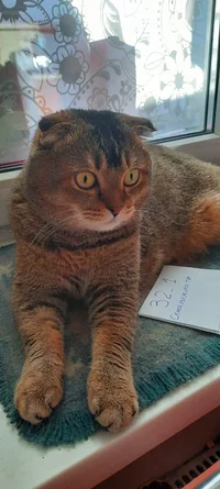 WhatsApp Image 2021-06-17 at 19.43.16.webp