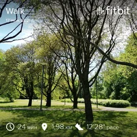 fitbitshare_457907777.webp fitbitshare_457907777.webp