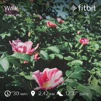 fitbitshare_592333565.webp