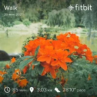 fitbitshare_719568632.webp