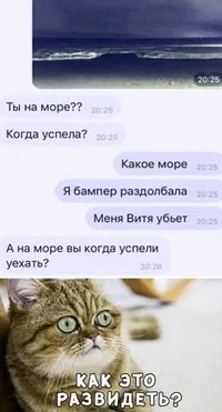 649d0885af4568f55621a1c3b2d9f30f.webp 649d0885af4568f55621a1c3b2d9f30f.webp