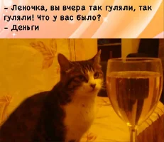 IMG_20210630_215057_708.webp IMG_20210630_215057_708.webp