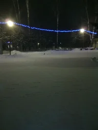 IMG_20151221_063538.webp IMG_20151221_063538.webp