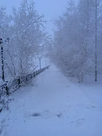 image.webp image.webp