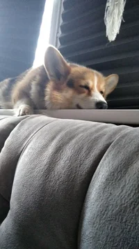 IMG-20210701-WA0032.webp IMG-20210701-WA0032.webp