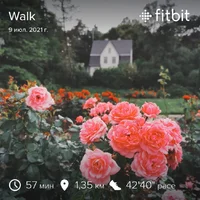 fitbitshare_385057167.webp