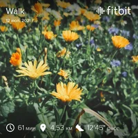 fitbitshare_456619996.webp