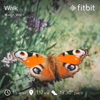 fitbitshare_802259338.webp