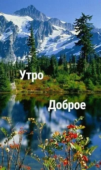 утро1.webp