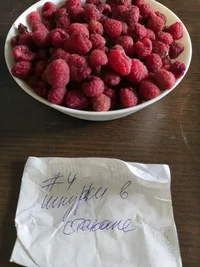 IMG_20210726_133532.webp IMG_20210726_133532.webp