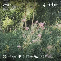fitbitshare_1752981314.webp