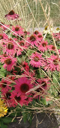 IMG_20210730_125139_1.webp IMG_20210730_125139_1.webp