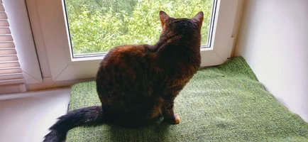 IMG_20210807_155659-01.webp IMG_20210807_155659-01.webp