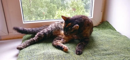 IMG_20210807_160121-01.webp IMG_20210807_160121-01.webp